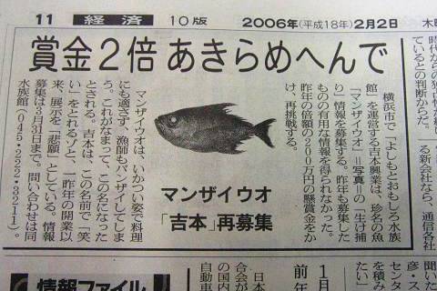 새다래