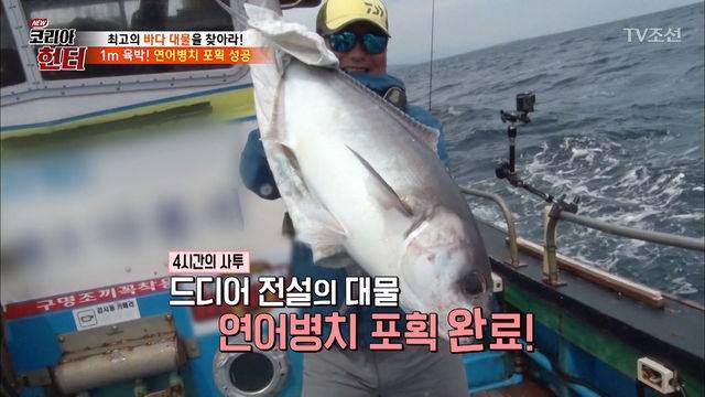샛돔