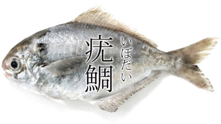 샛돔