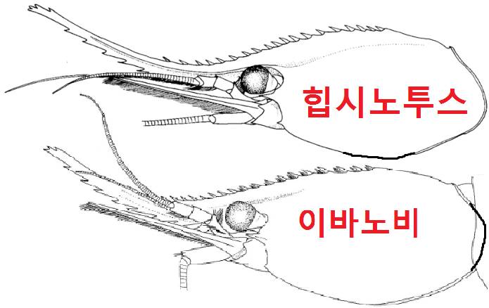 사할린보탄에비