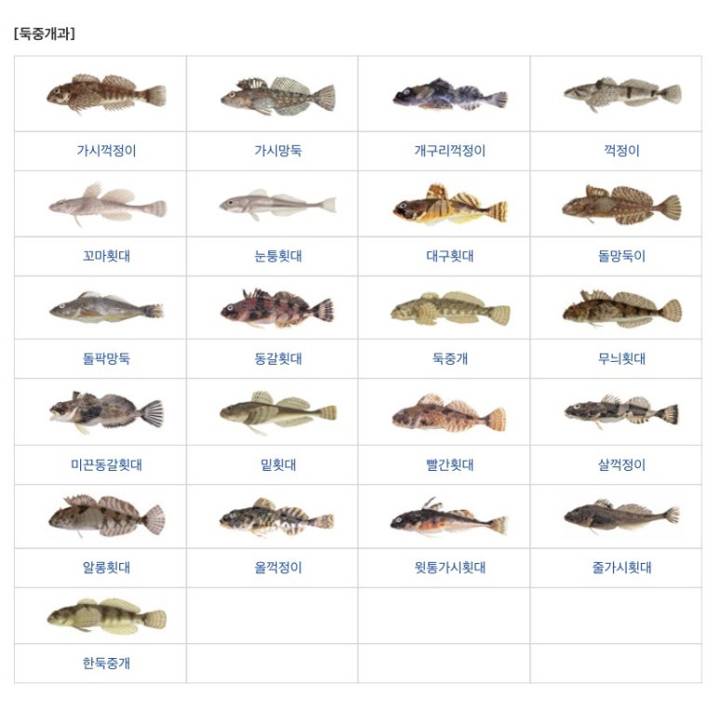 살꺽정이