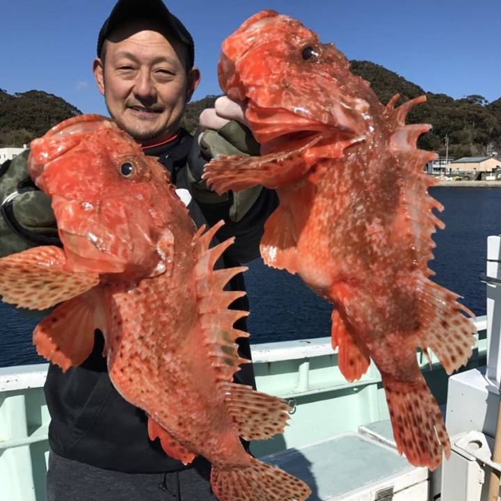 살살치