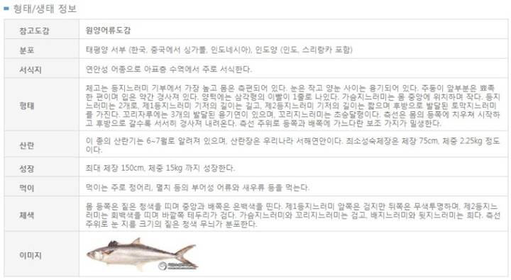삼치