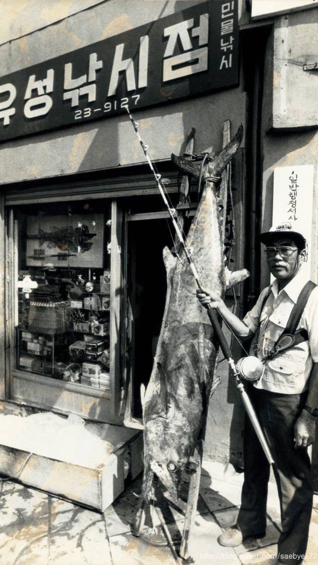 삼치