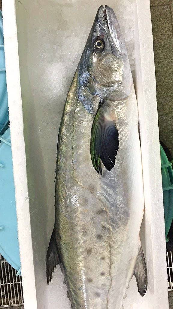 삼치