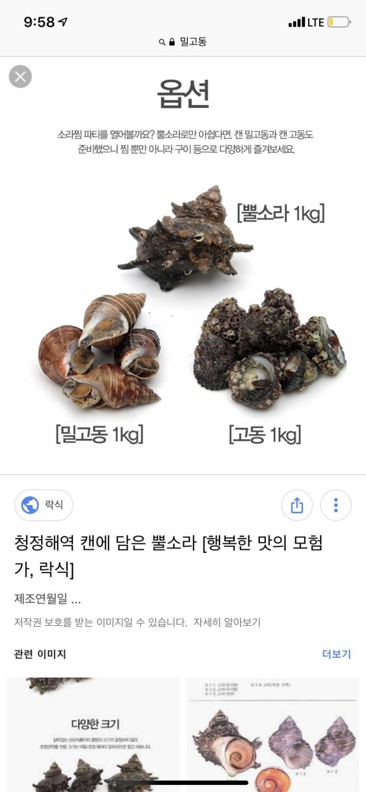 세고리물레고둥