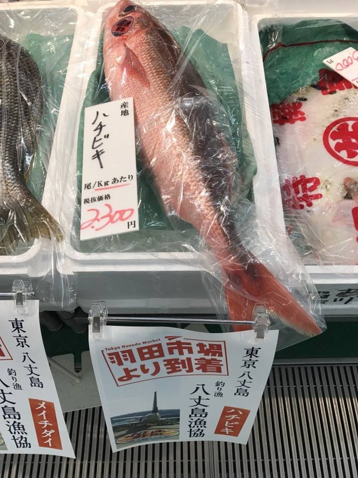 선홍치