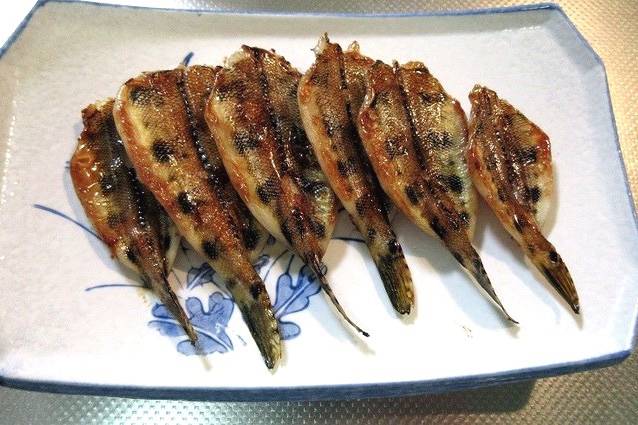 쌍동가리