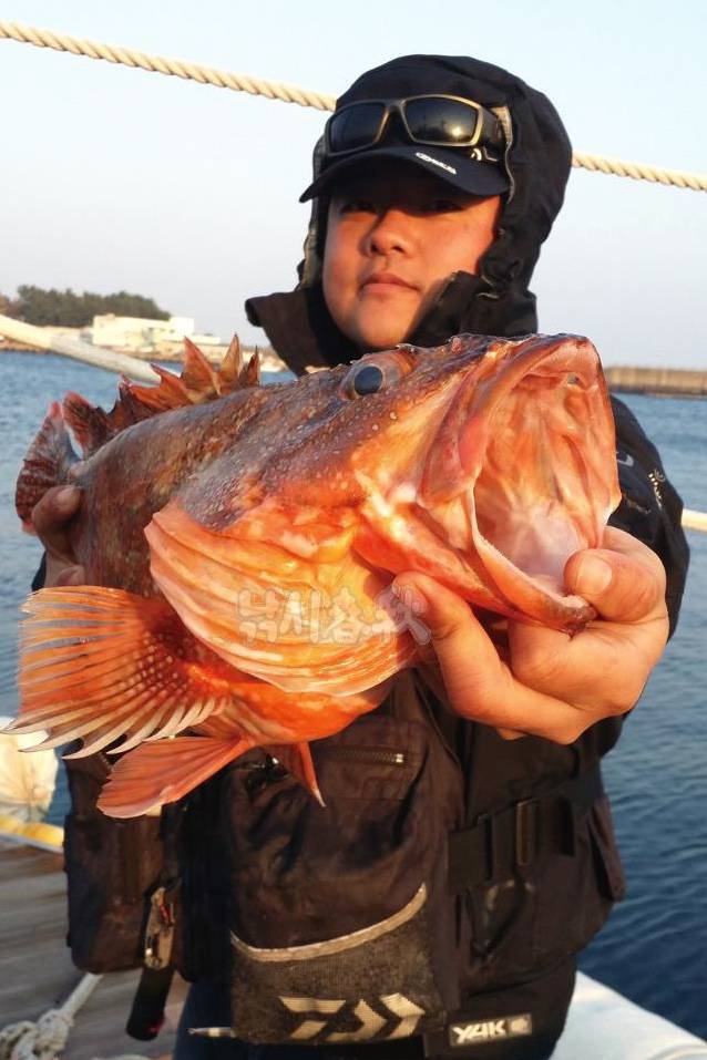 쏨뱅이