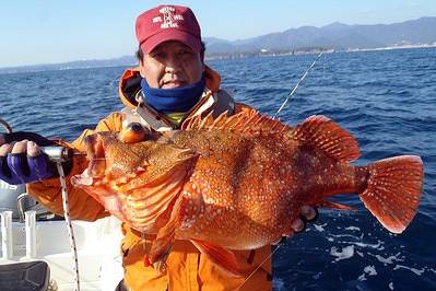 쏨뱅이