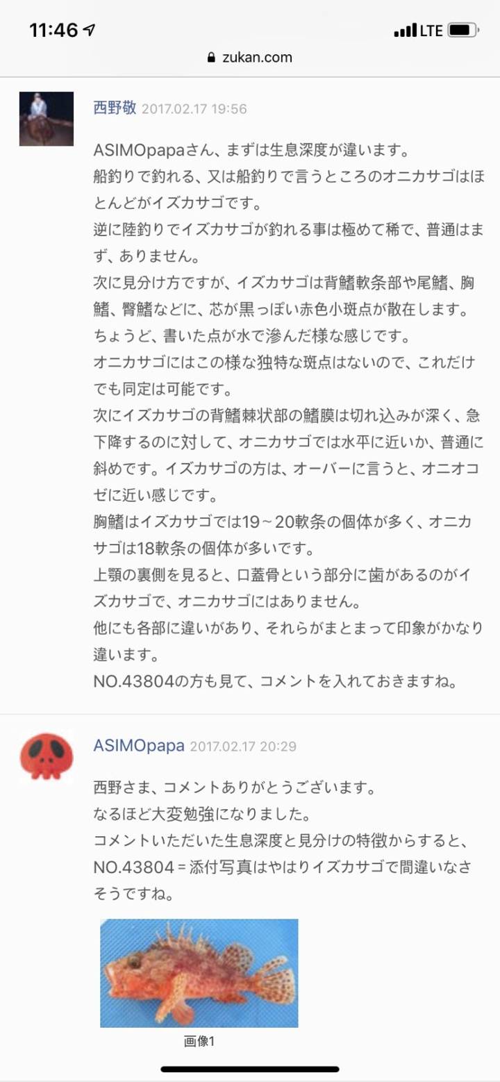 쑥감펭