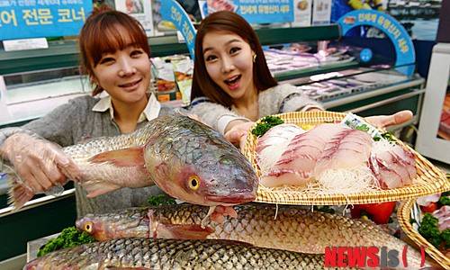 숭어