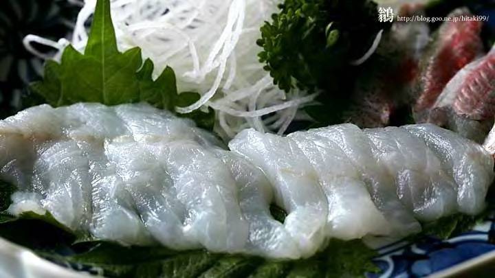 수염첨치