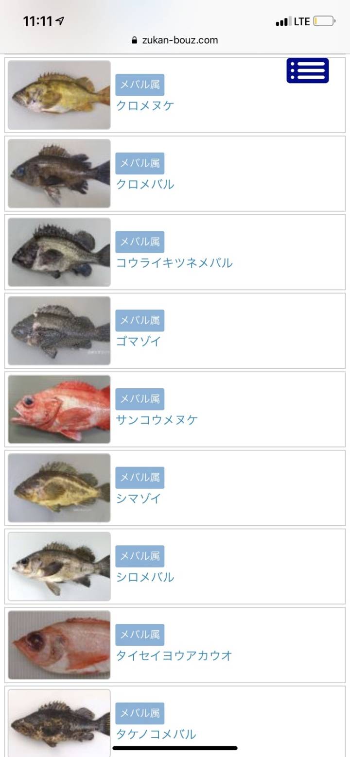탁자볼락