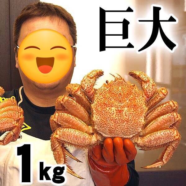 털게