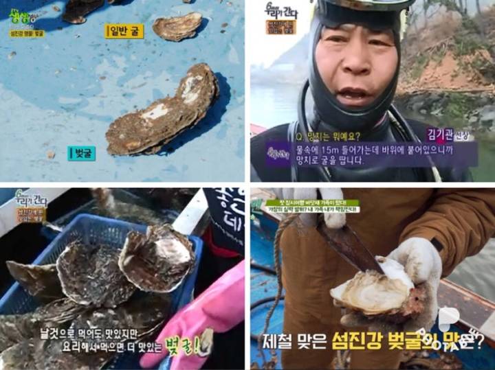 토굴