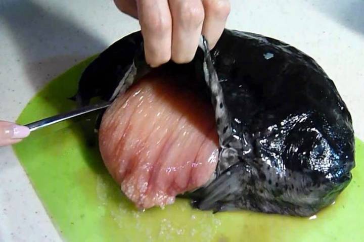 뚝지