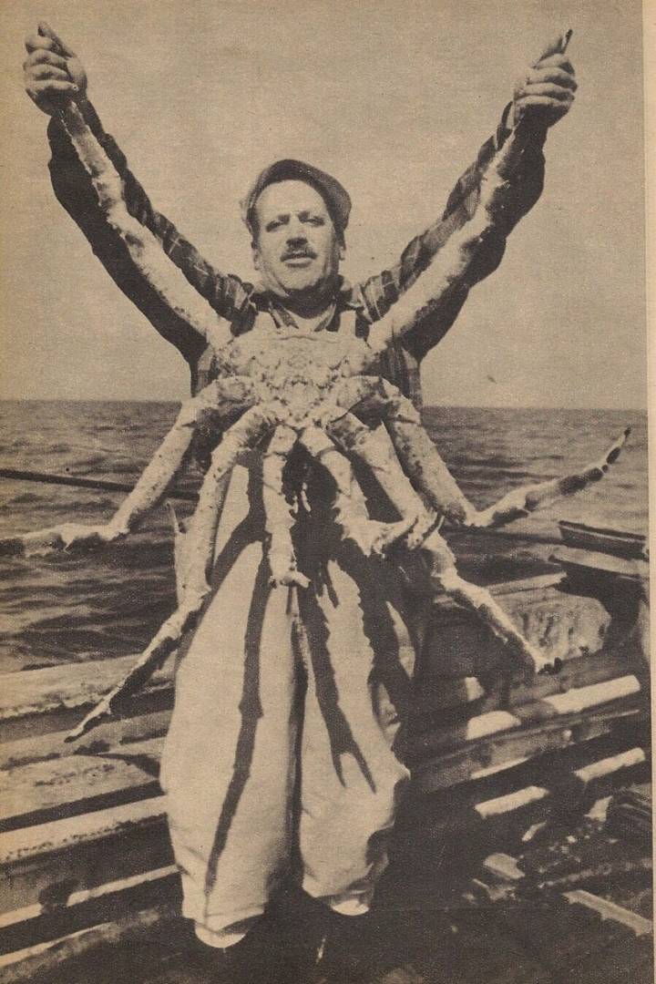 왕게
