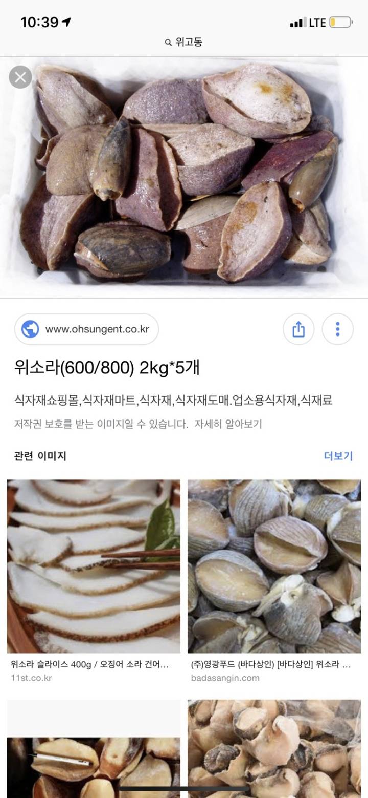 위고둥