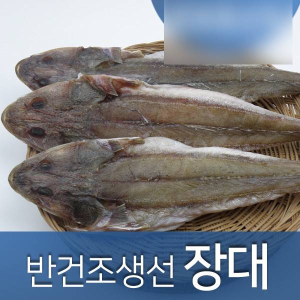 양태