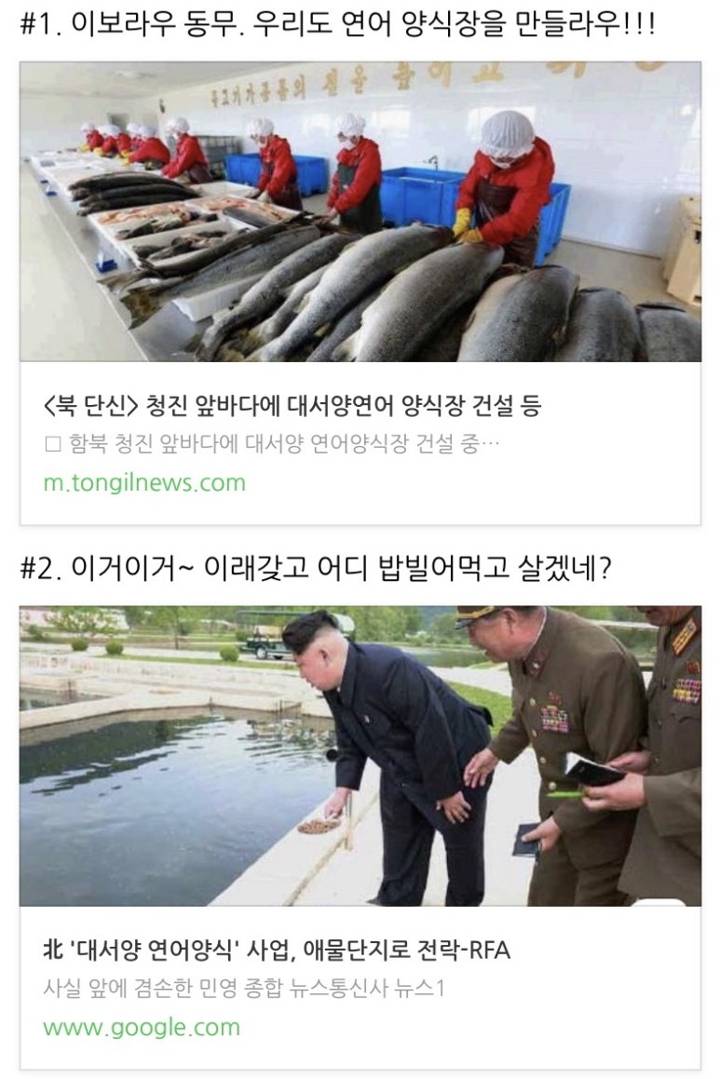 연어