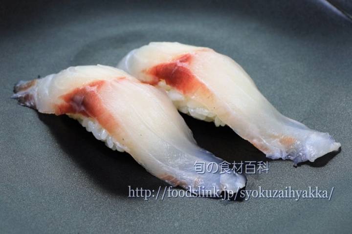 연어병치
