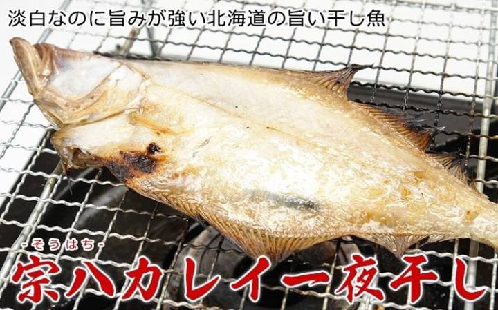 용가자미
