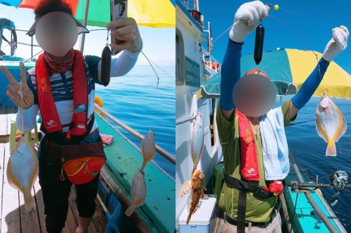 용가자미