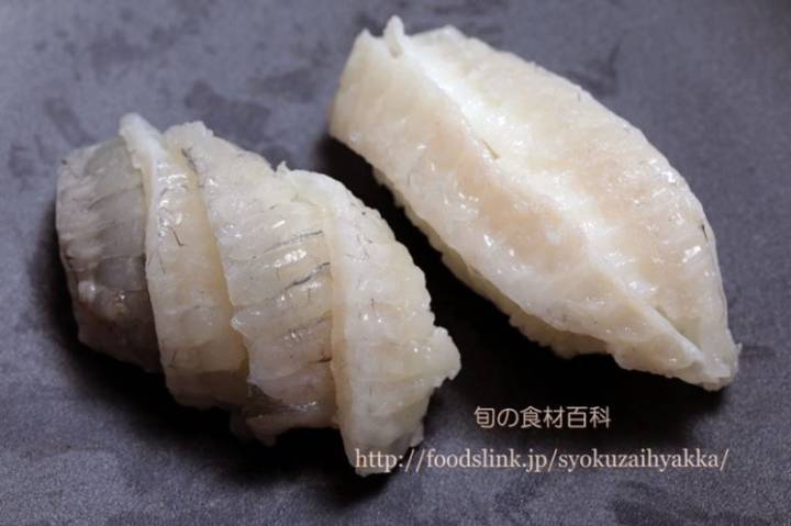 용가자미